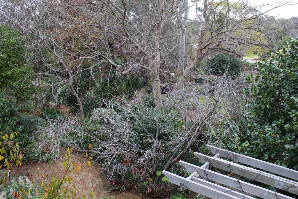 Possum Creek Lodge Gooseberry Hill Zimmer foto